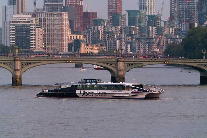 2 Day London Hop-On Hop-Off River Thames Sightseeing Pass - Central London Highlights: Vauxhall, Millbank, Embankment, and Westminster