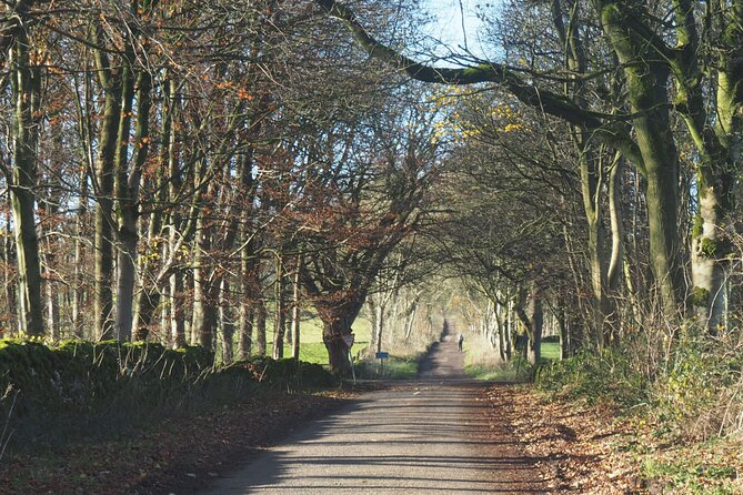 6hr Small Group Peak District eBike Tour - Traffic-free cycle lanes to a village cake stall stop