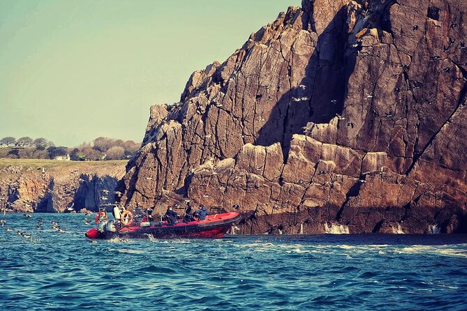 90 Minute Coastal Explorer in Torquay - Lifejackets, Skipper Jon, and Why a 12-Person Boat Changes Everything
