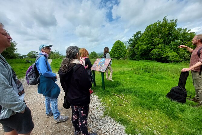A Tour of Glastonbury, Guided by the Trees. - Poetry Recitals and Gentle Folk Music Along the Route