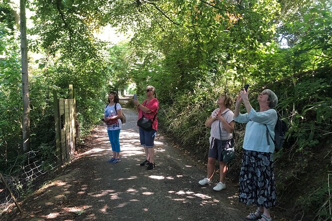 A Tour of Glastonbury, Guided by the Trees. - Well House Lane Springs and the White Spring If It’s Open