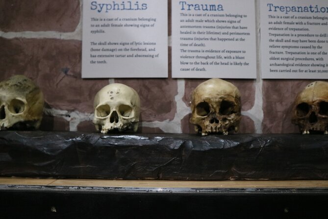 Admission Ticket to Sick To Death in Chester - The magical shop: a playful ending with themed souvenirs