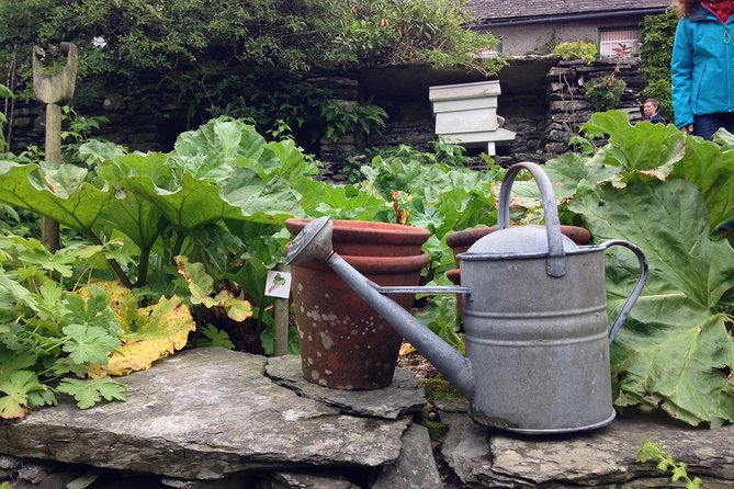 Beatrix Potter's Half Day Lake District Tour Including Lake Cruise - Tarn Hows: One Stop for Views and Weather Proofing