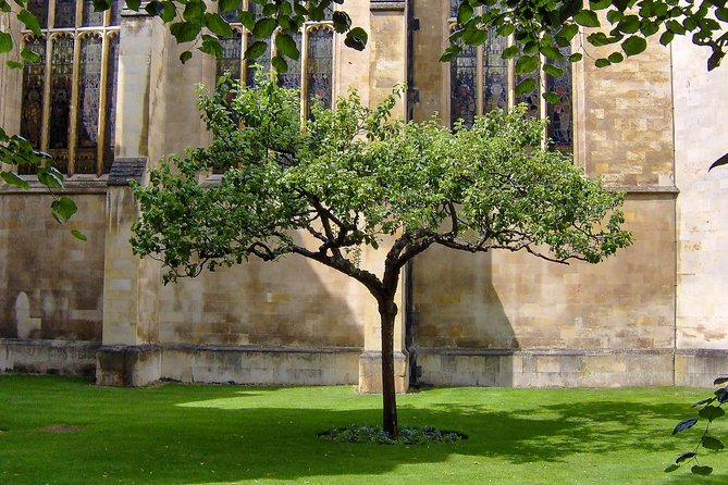 Cambridge University Walking Tour - St John’s, Trinity, and the college structure reality check