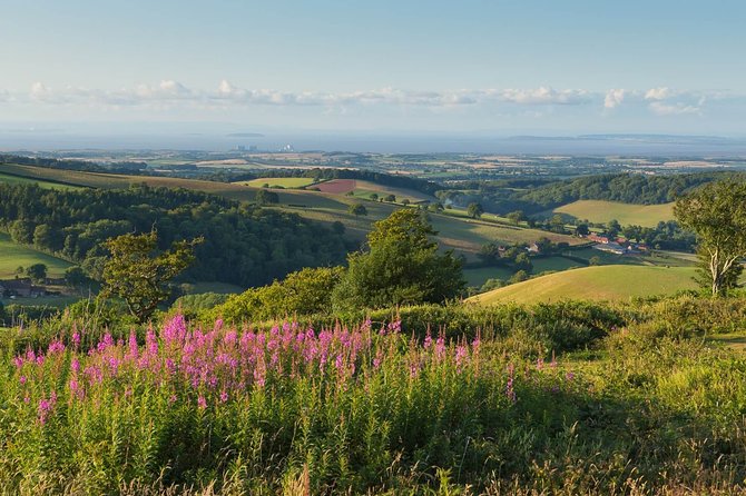 Canterbury & the White Cliffs of Dover Tour (Small-Group) - Comfort and the guide style on the road