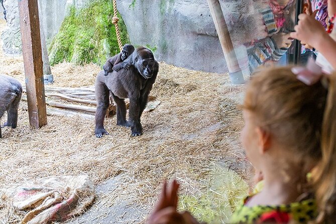 Chessington World of Adventures Resort Admission Ticket - Daily Live Shows and Story-Based Seasonal Magic