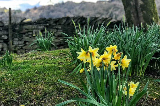 CHESTER: Lake District Adventure - Sightseeing Day Trip Tour - Grasmere: gingerbread, William Wordsworth, and a gentle ending