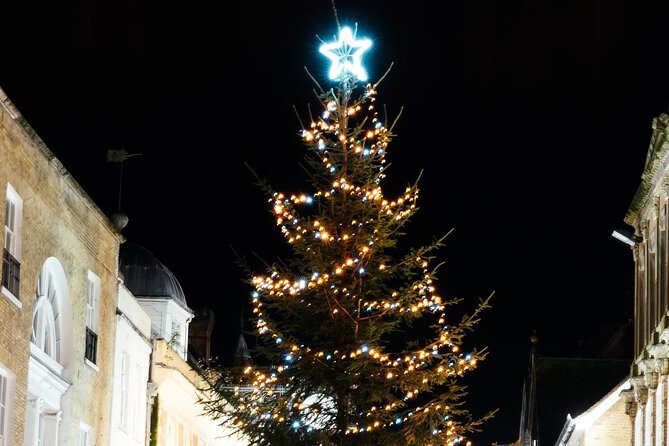 Christmas Mulled Wine Walk of Winchester - Stop 5: Winchester Cathedral with Christmas lights at the West Front