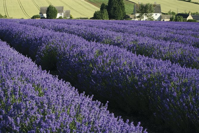 Classic Cotswolds Private Tour - Chipping Campden: wool church, market hall, and that market-town vibe