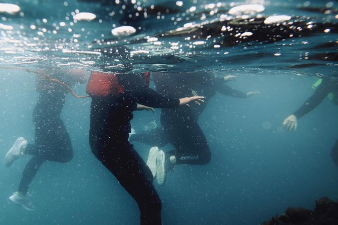 Coasteering - Why Newquay coasteering feels like Cornwall in motion