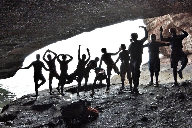 Coasteering Geopark Adventure In Torquay - Wildlife moments: seals can turn the route into a memory