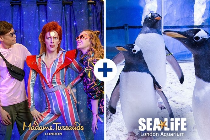 Combo Ticket: Madame Tussauds & SEA LIFE London Aquarium - What $80.13 gets you, and how to judge the value