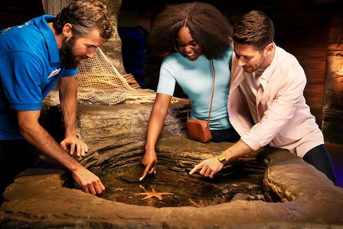 Combo Ticket: Madame Tussauds & SEA LIFE London Aquarium - Quick tips to get the best experience out of both stops