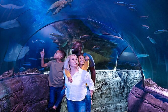 Combo Ticket: Madame Tussauds & SEA LIFE London Aquarium - Should you book this combo ticket?