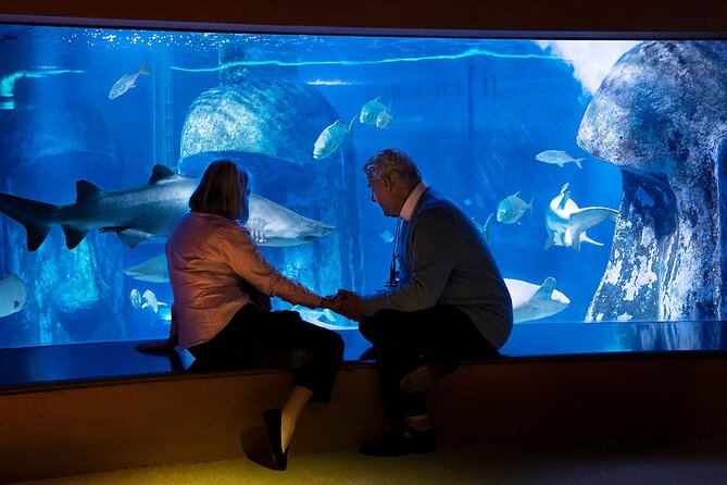Combo Ticket: Madame Tussauds & SEA LIFE London Aquarium - Stop 1: Madame Tussauds London, 150+ figures and the fashion runway