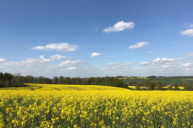 Cotswolds Villages Full-Day Small-Group Tour from Oxford - The best part is the driver-guide, and why seat choice can matter