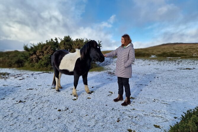 Dartmoor Tour - Key highlights that make this Dartmoor day work
