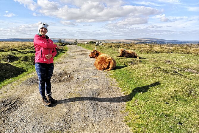 Dartmoor Tour - Price, value, and who gets the best deal