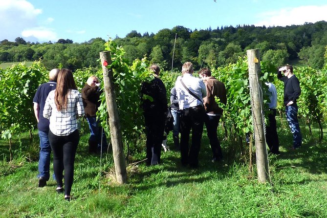 English Wine and Cheese Tour from London - Silcocks Farm Shop and Cafe: cheese making, then a 6x6 pairing