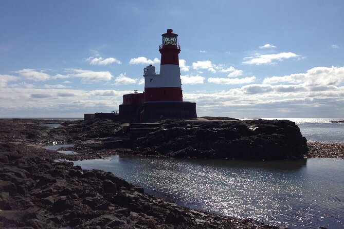 Farne Islands Longstone Lighthouse 2-Hour Trip from Seahouses - Key highlights you should know before you go