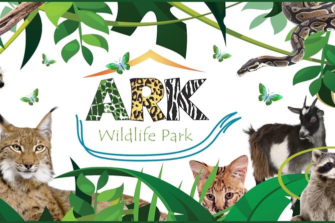 Fox Encounter for 2 people and park entry - Fox Fussing at ARK Wildlife Park in Stickney