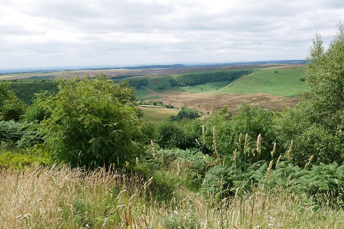 Full-Day Heartbeat Locations Tour from York - Coach comfort, group size, and the guide factor