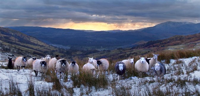 Full day Private tour of the Lake District - A full-day Lake District hit list from Windermere