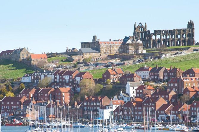 Full-Day Whitby and The North York Moors Private Tour from York - A private Whitby and North York Moors day that doesn’t feel like a checklist