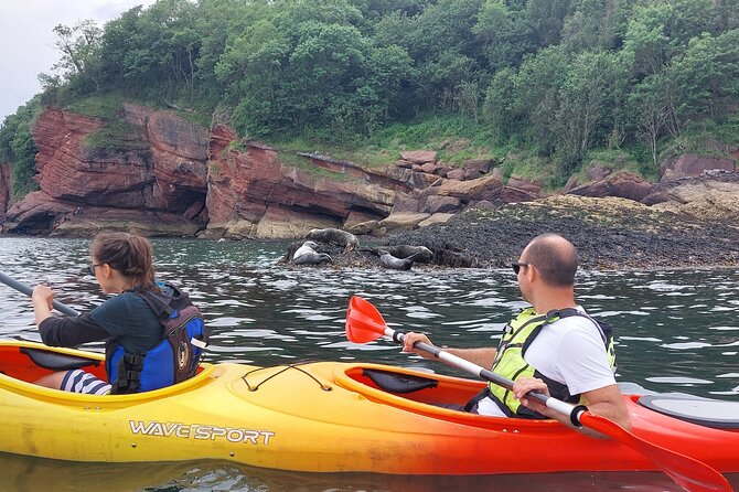 Guided Wildlife and Sea Cave Kayak Safari in English Riviera - Swimming if you want it, and how to dress for real coastal weather