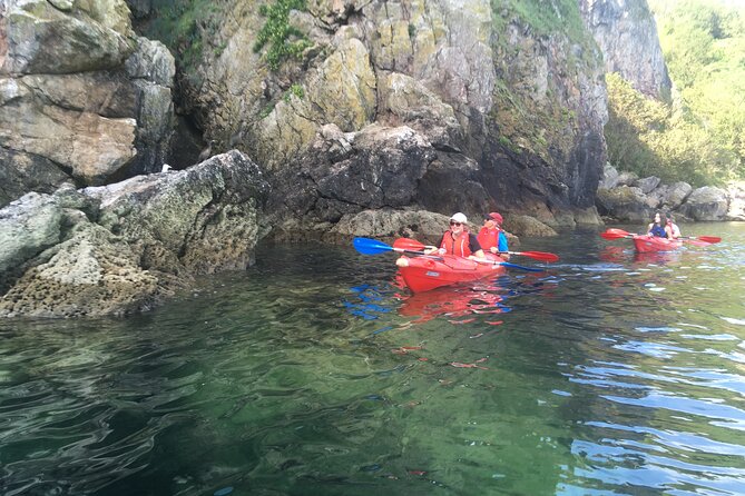Guided Wildlife and Sea Cave Kayak Safari in English Riviera - Tandem sea kayaks and the training that makes it feel manageable