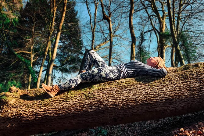 Half-day Forest Bathing and Yoga in Brighton's Woodlands - Key things I’d lock in before you go