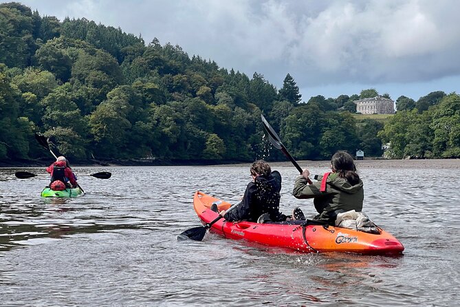 Half Day Guided Canoe Trip in Totnes - Stop-by-stop: what you can expect near Stoke Gabriel, Dart River, Totnes, and Dartington