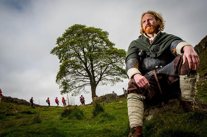 Half Day Hadrian’s Wall Guided Tour - Price and value: is $82.68 fair for a half-day with museum entry?