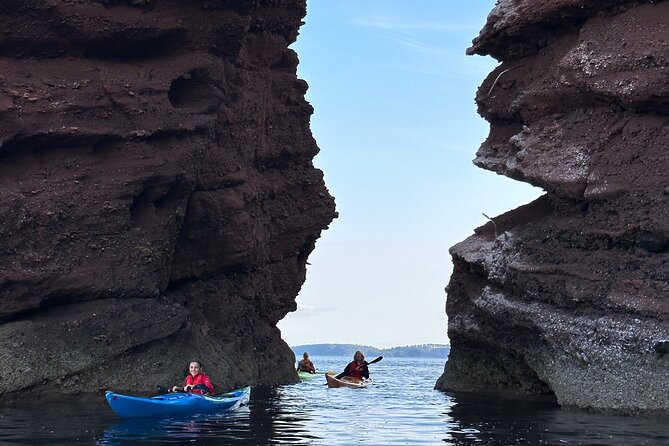 Half Day Sea kayak Guided Tour - Teignmouth Town Beach: the 30-minute break that makes the day work