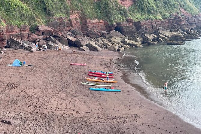 Half Day Sea kayak Guided Tour - Price and value at about $66.06 for 4 hours