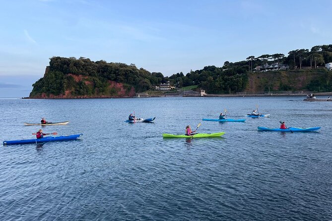 Half Day Sea kayak Guided Tour - Who this tour suits best (and who might want a different day)