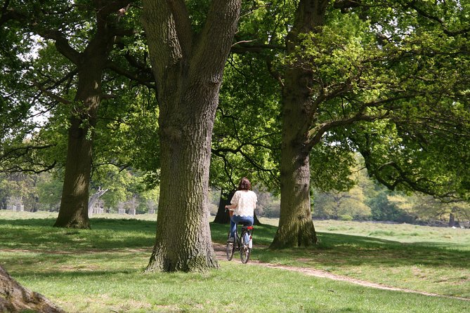 Hampton Court Palace Grounds Bike Tour - Bike Tour Pacing: Relaxed, But Communication Matters