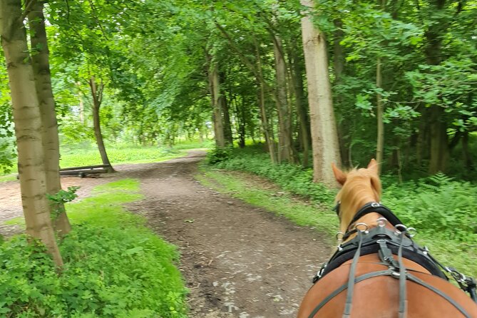 Horse drawn carriage ride york - Comfort, Photos, and the Tea Room Add-On Mood