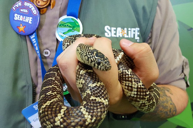 Hunstanton SEA LIFE Sanctuary General Admission Ticket - Hunstanton SEA LIFE in Norfolk: what two hours feels like