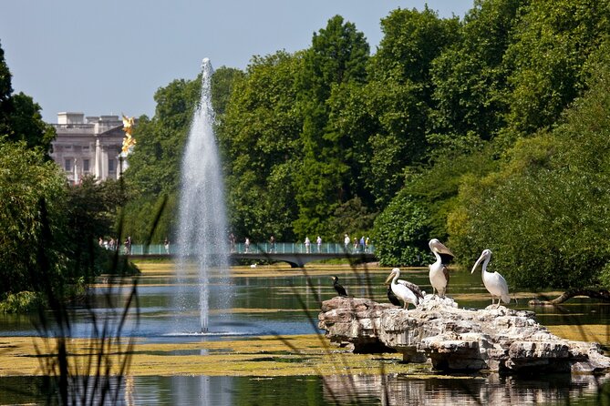 Inside Buckingham Palace State Rooms & Royal London Walking Tour - Practical tips that make or break the day