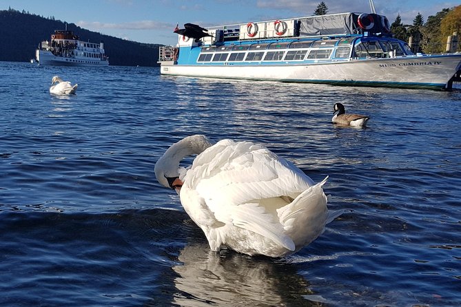 Lake District Adventure Sightseeing Day Trip from Liverpool - Price and value: what $81.95 covers, and what you plan for