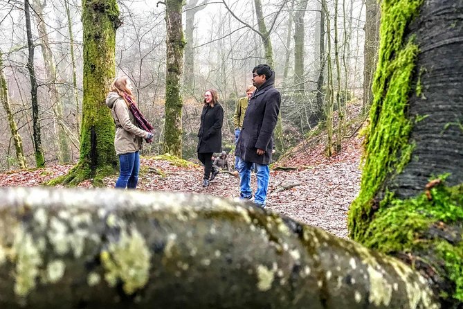 Lake District Adventure Sightseeing Day Trip from Liverpool - Guides make the day: humor, stories, and a tighter feel