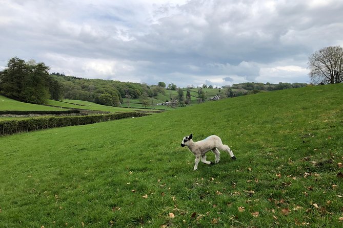 Lake District from Liverpool including Lake Cruise - Time management: why each stop feels short but still works