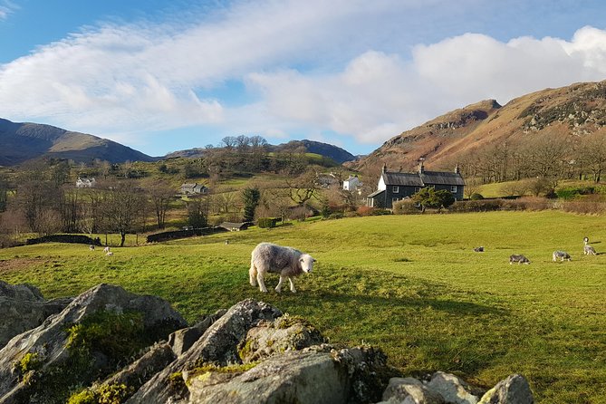 Lake District from Manchester Including Lake Cruise - Long-day reality: weather, timing, and restroom breaks