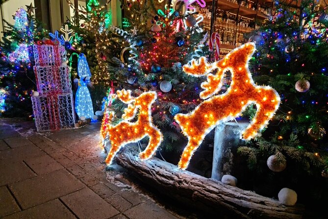 London Christmas Lights Bike Tour with Local Guide - Use the Price for Real Value, Not Just Convenience