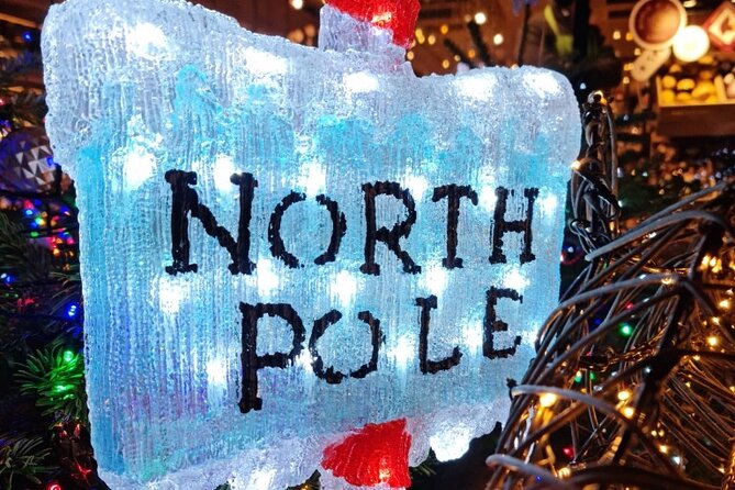 London Christmas Lights Bike Tour with Local Guide - Who Should Book This Ride