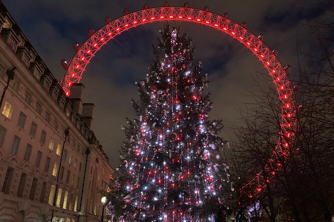 London Exclusive Christmas Lights Guided Tour by Black Cab - Selfridges: the department store where the lights become the show
