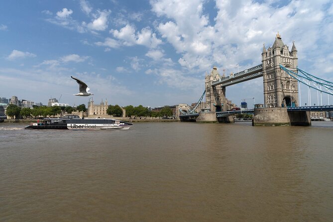 London: IFS Cable Car + Uber Boat One Way River Thames Cruise - IFS Cloud Cable Car: the view at just under 300 feet