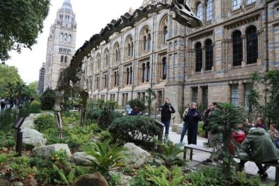 Natural History Museum Express Guided Tour & Audio Guide