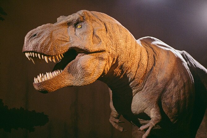 London: Natural History Museum Express Guided Tour & Audio Guide - Value Check: Paying for Audio and Setup at a Free Museum
